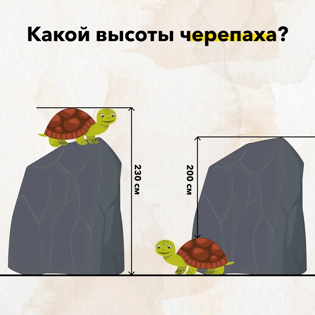 Как вам задачка??? | Сетка — социальная сеть от hh.ru