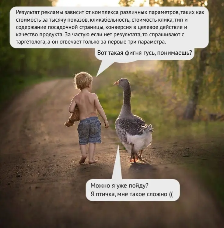 Вот такая фигня гусь, понимаешь? | Сетка — социальная сеть от hh.ru