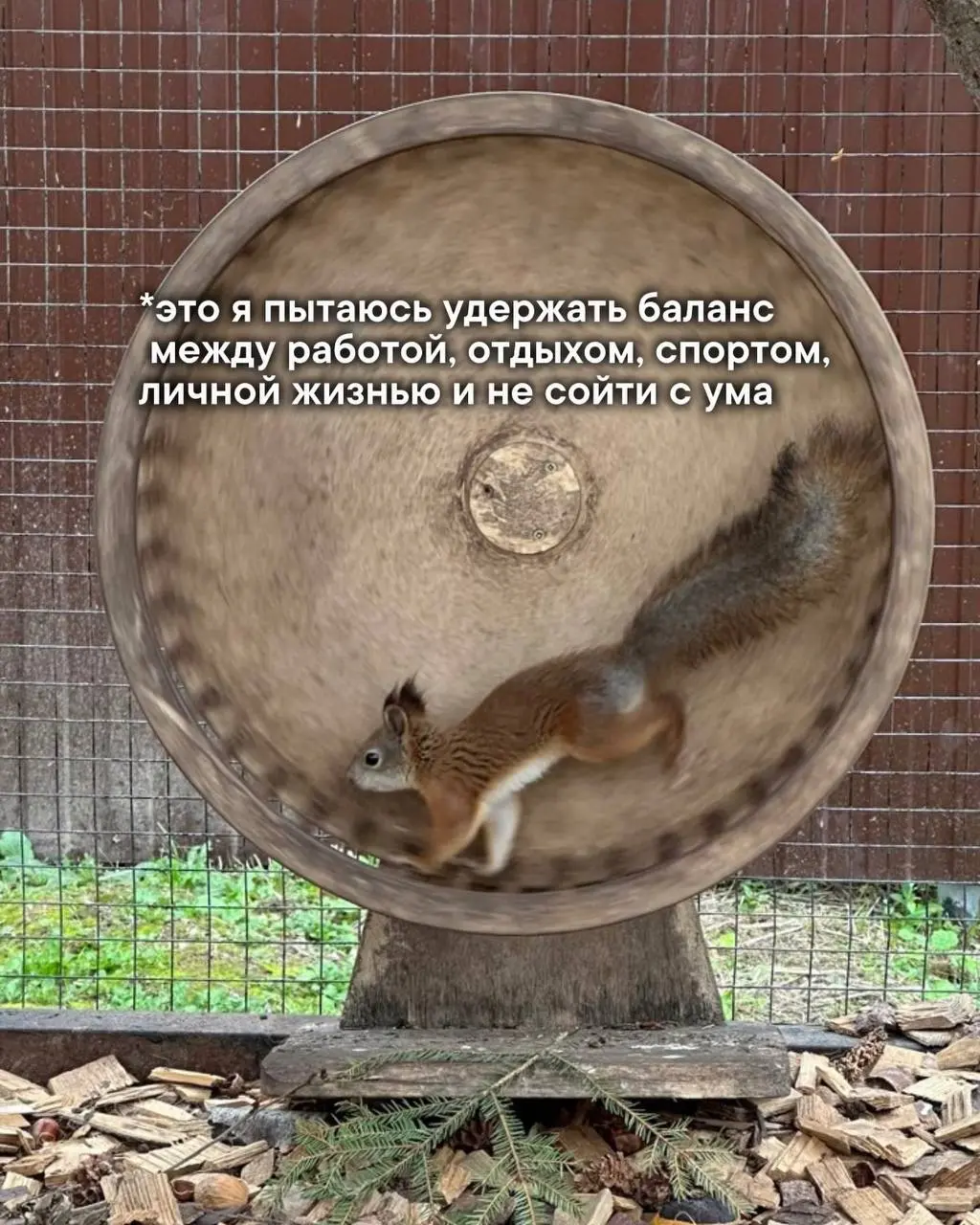 У кого жиза?😁 | Сетка — социальная сеть от hh.ru