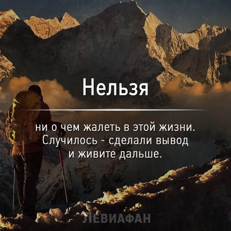 Живи не сожалея | Сетка — социальная сеть от hh.ru