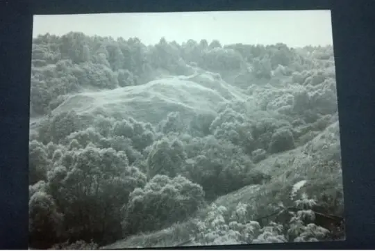 Чудеса рядом с нами
Мы с вами знаем уже как минимум две стоянки рядом с Брянском, но что насчёт самого Брянска? Знаете ли вы, что в Советском районе, недалеко от Площади Партизан, расположен микрорайо... | Сетка — социальная сеть от hh.ru