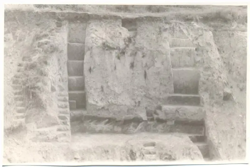 Чудеса рядом с нами
Мы с вами знаем уже как минимум две стоянки рядом с Брянском, но что насчёт самого Брянска? Знаете ли вы, что в Советском районе, недалеко от Площади Партизан, расположен микрорайо... | Сетка — социальная сеть от hh.ru