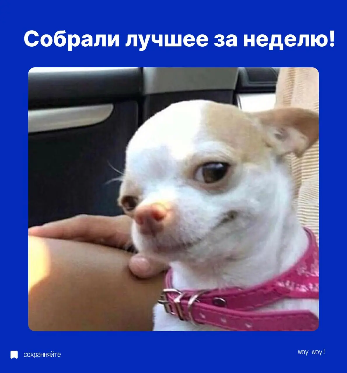 Дайджест недели от Balance CRM👀
Всё самое важное и интересное — в одном месте
✅1 | Сетка — социальная сеть от hh.ru