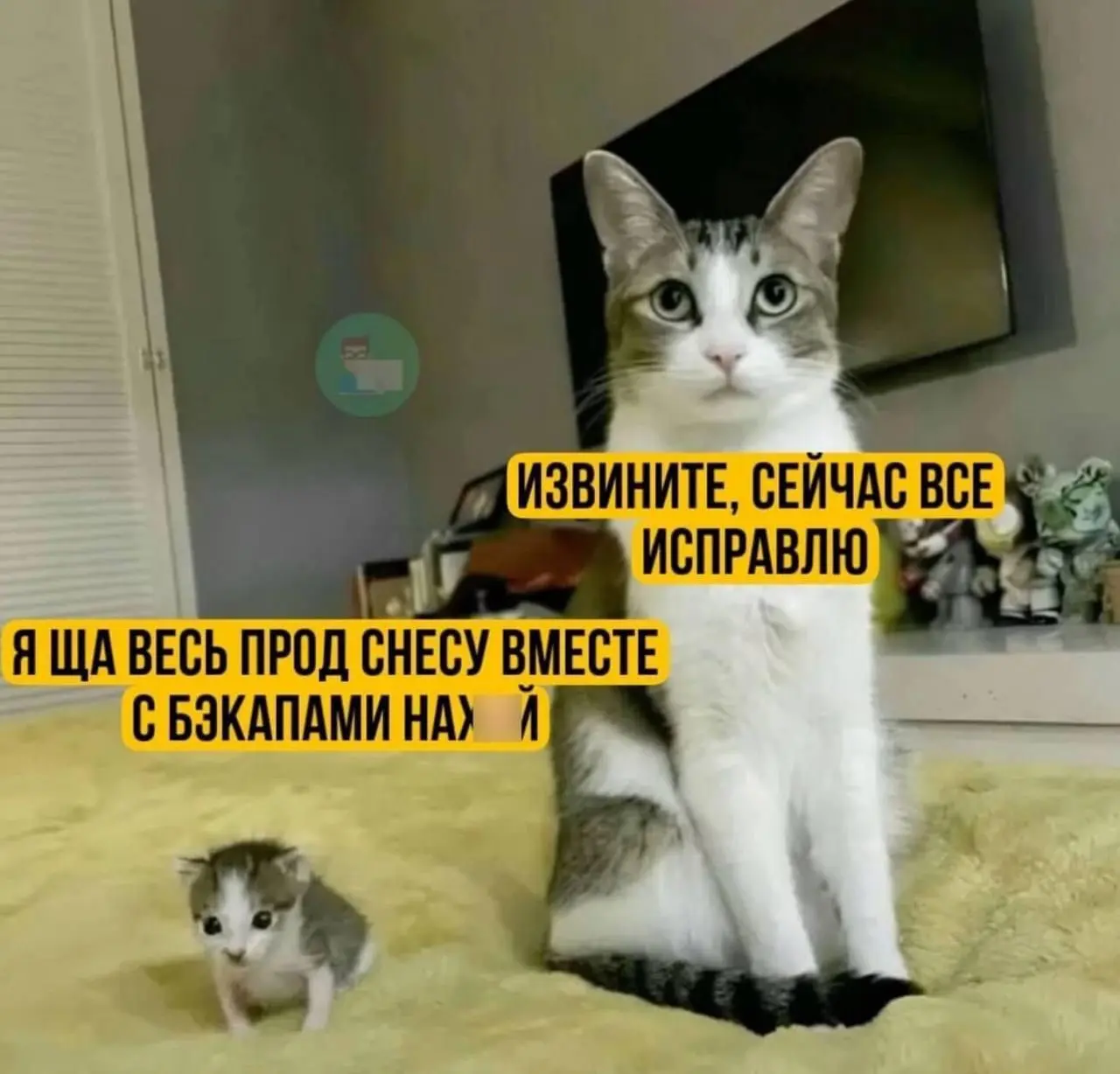 Наши кореша по цеху завели канал с мемами для программистов и айтишников
👇🏻
В этом посте были ссылки, но мы их удалили по правилам Сетки | Сетка — социальная сеть от hh.ru
