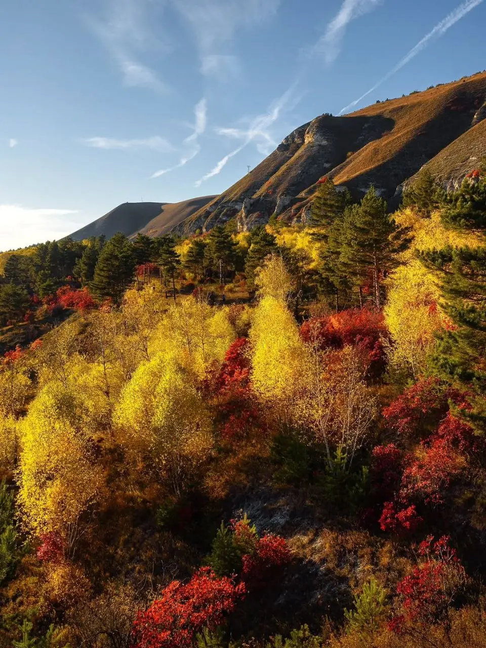Осень в Кисловодске 🍂
Фото: Армен Захаров
📲 Что-то на Ставропольском в MAX | Сетка — социальная сеть от hh.ru