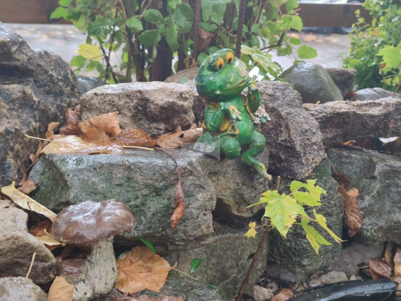 Уютный дворик в Ессентуках
Жители облагородили территорию, украсили её фигурками и сделали небольшой водоём с камнями — получилось по-домашнему красиво. | Сетка — социальная сеть от hh.ru