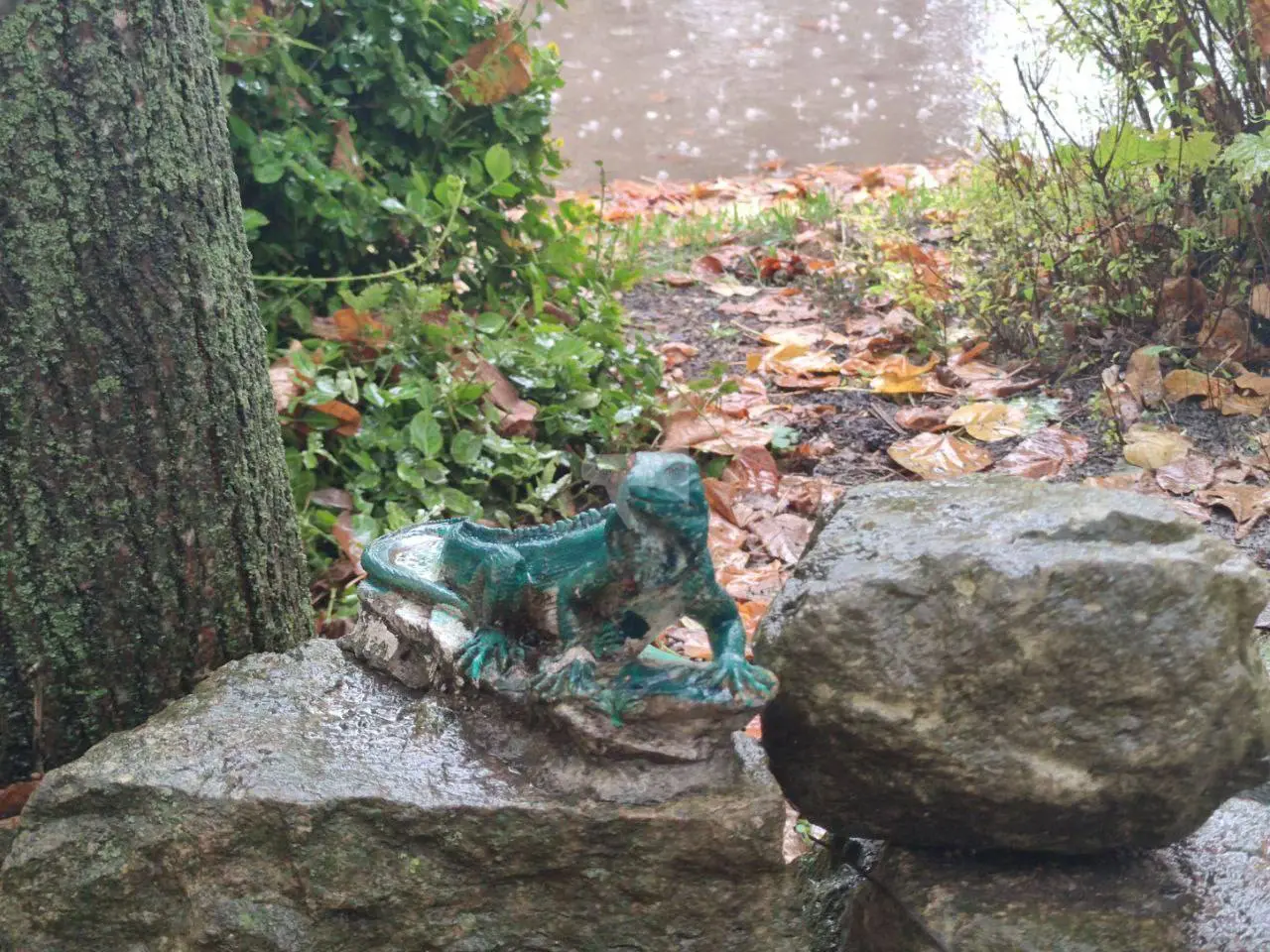 Уютный дворик в Ессентуках
Жители облагородили территорию, украсили её фигурками и сделали небольшой водоём с камнями — получилось по-домашнему красиво. | Сетка — социальная сеть от hh.ru