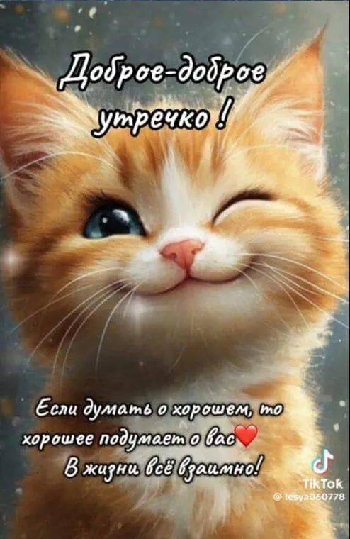 Андрей Баранов