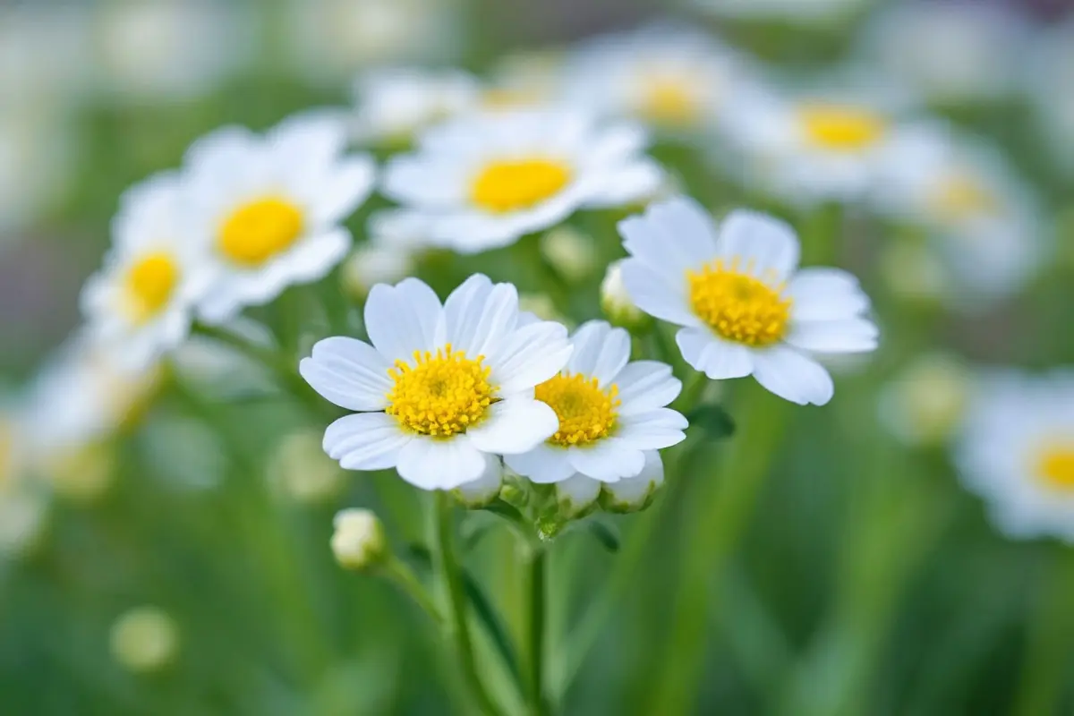 💠💠💠💠💠💠💠💠💠💠💠💠💠💠💠💠💠💠💠💠💠💠💠💠💠💠💠💠ПРИВЕТСТВУЮ ВАС, МОИ ДОРОГИЕ ПОДПИСЧИКИ! 👋  
♥️С вами вновь LadyMari ♥️  
💠Зима уже стучится в наши двери, а значит, самое время позаботиться о здоровье и запастись дарами ... | Сетка — социальная сеть от hh.ru