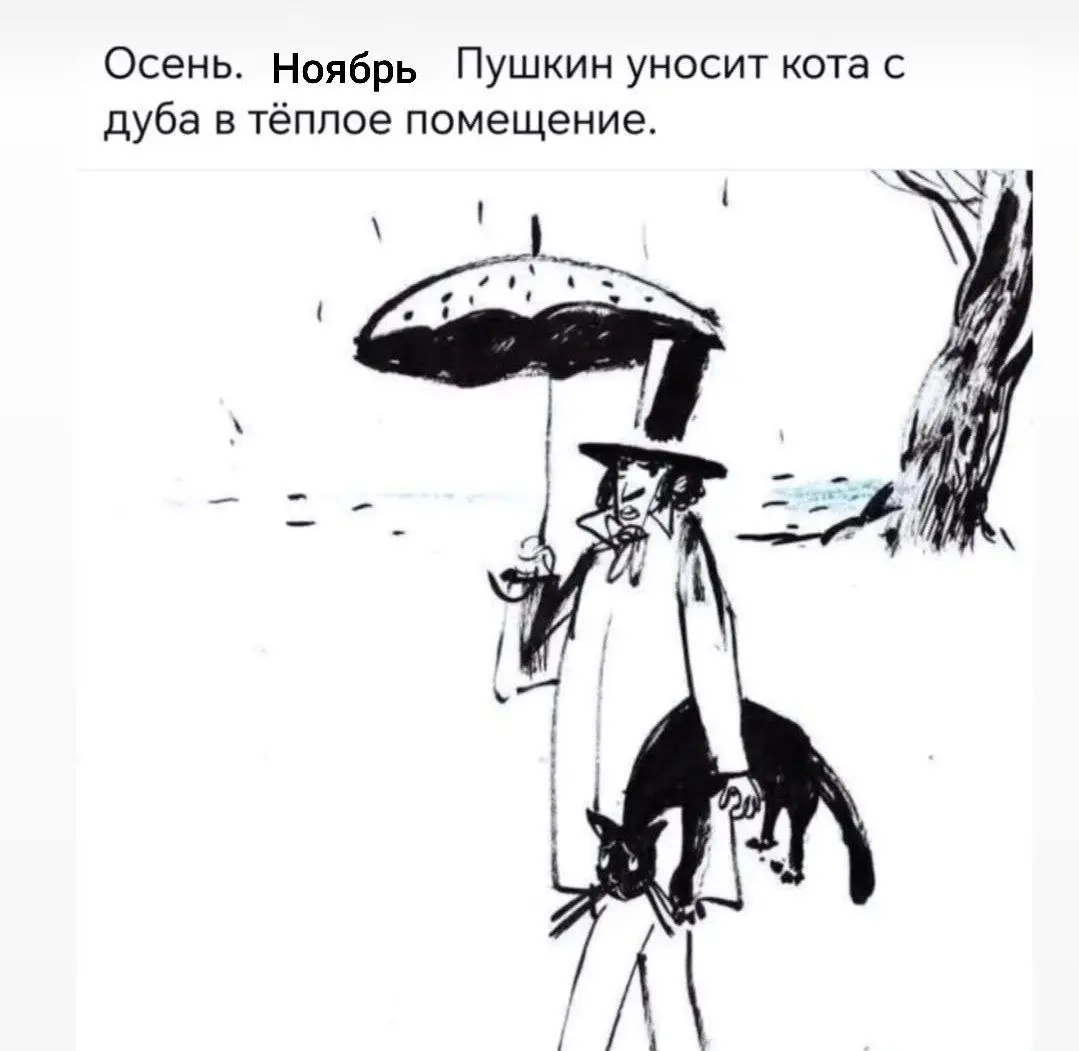 З - забота ❤️
От любимого клиента Александра ❤️
#Юмор@poldner #Коты@poldner | Сетка — социальная сеть от hh.ru