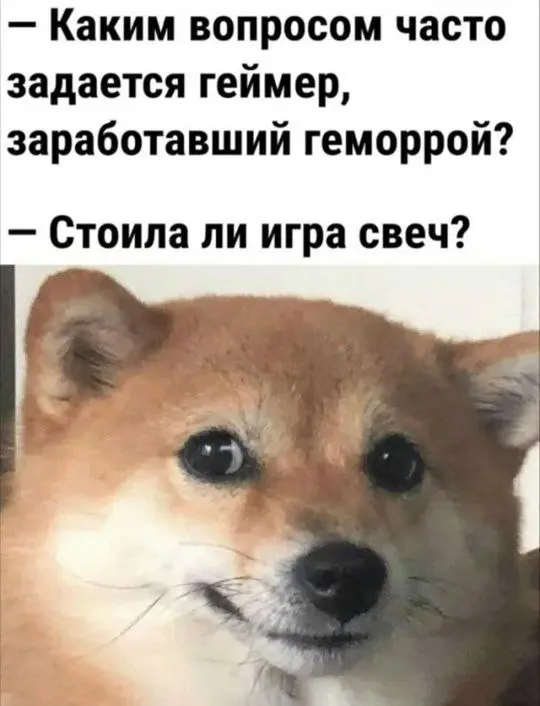 Мемный вторник | Сетка — социальная сеть от hh.ru