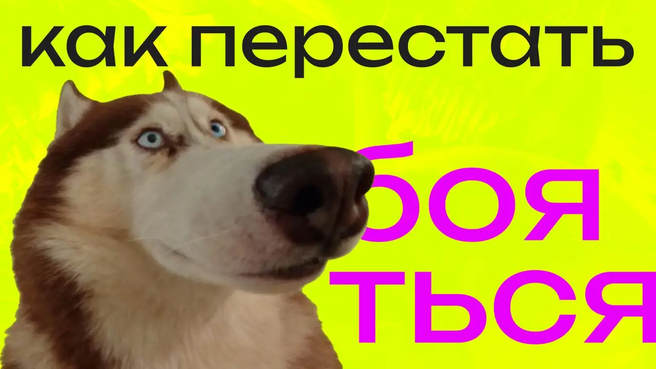 В любой творческой профессии рано или поздно наступает момент, когда приходится выходить из-за монитора и идти на встречу: с арт-директором, заказчиком или командой, от которой зависит запуск проекта | Сетка — социальная сеть от hh.ru