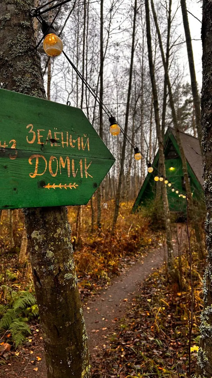 Очень, очень, очень хорошо в лесу 💚 | Сетка — социальная сеть от hh.ru