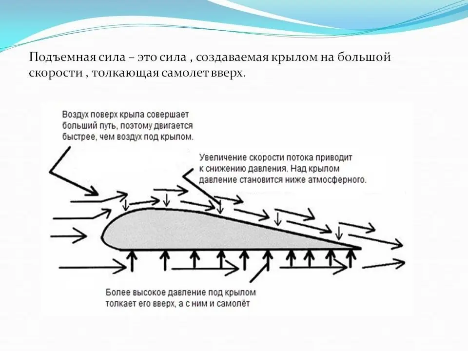 Закон Бернулли | Сетка — социальная сеть от hh.ru