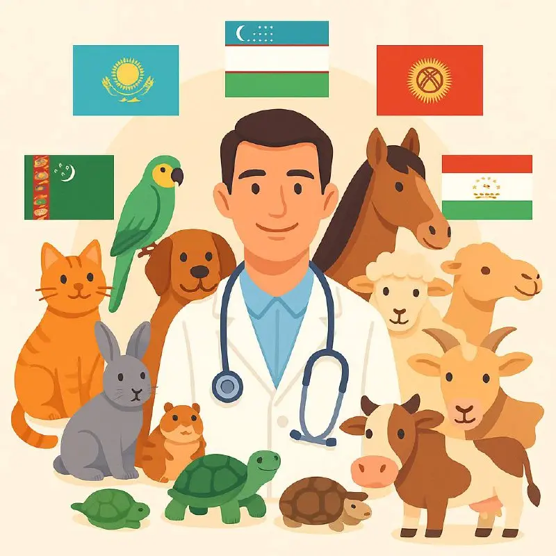 Телемедицина для питомцев в Центральной Азии: рынок сейчас и окно для старта
Вводные
Полноценных маркетплейсов мало, спрос растёт, деньги уже на столе | Сетка — социальная сеть от hh.ru