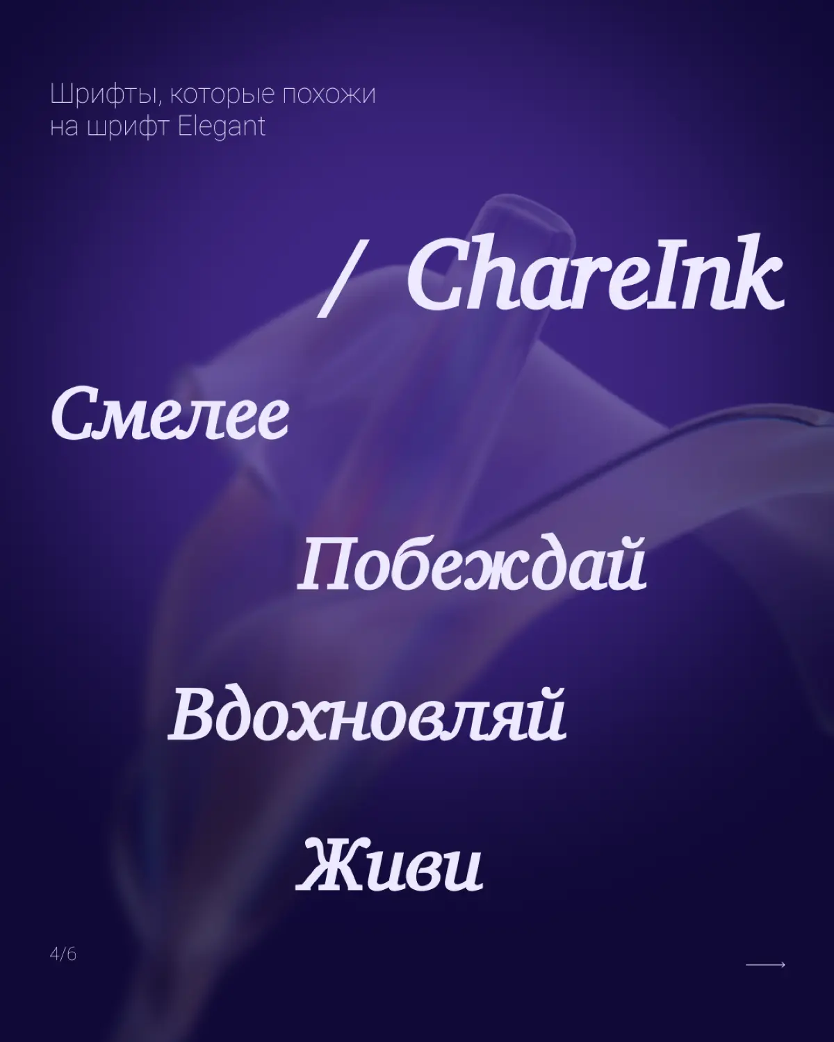 💛 Сейчас работаю над одним небольшим проектом. Когда подбирали шрифты, клиент сказал, что ему нравится шрифт Elegant | Сетка — социальная сеть от hh.ru