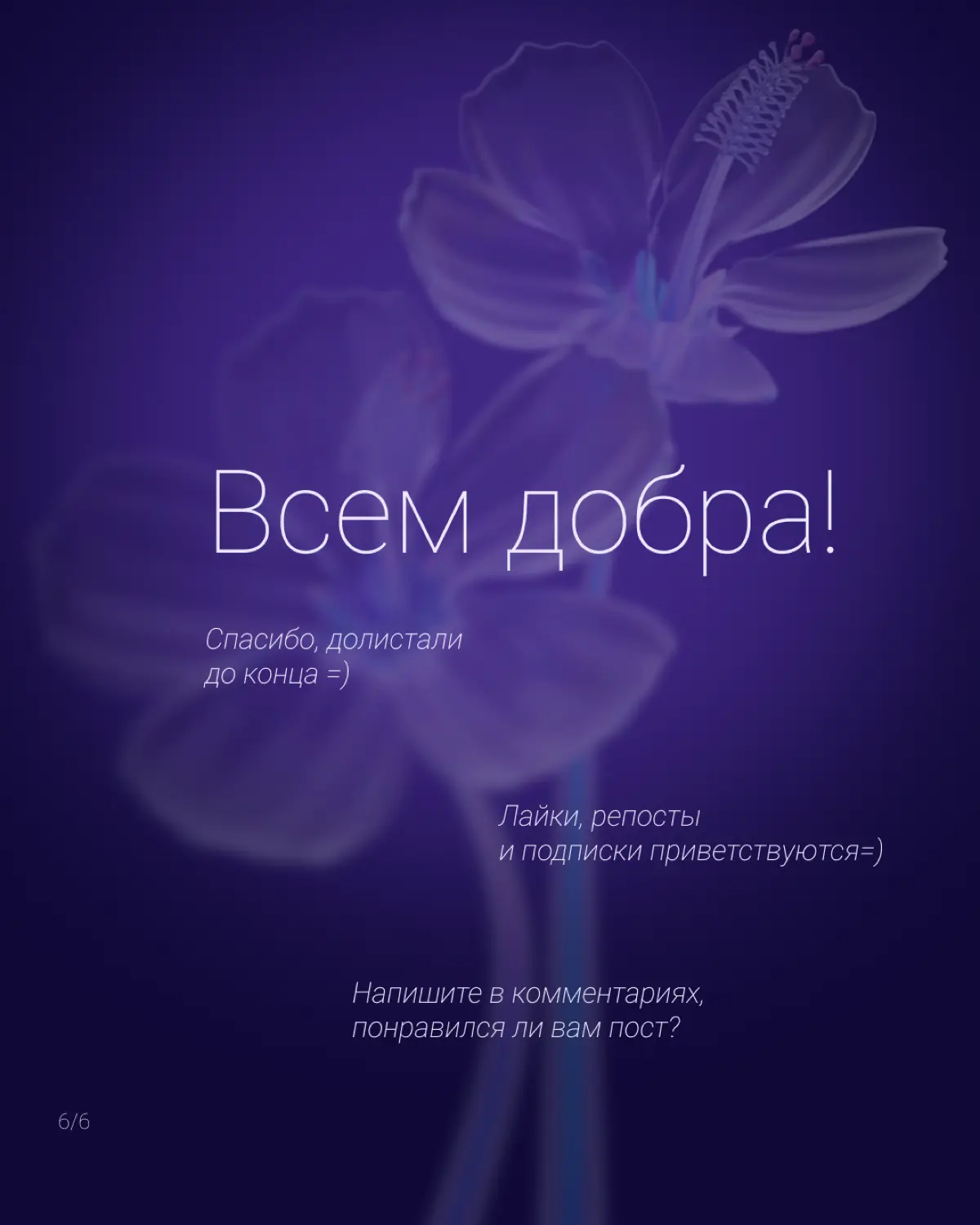 💛 Сейчас работаю над одним небольшим проектом. Когда подбирали шрифты, клиент сказал, что ему нравится шрифт Elegant | Сетка — социальная сеть от hh.ru