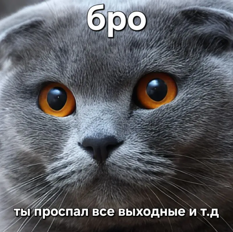 Поздравляем всех трудяг с ачивкой | Сетка — социальная сеть от hh.ru
