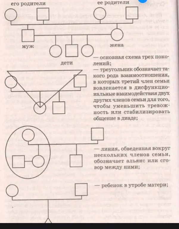 Генограмма семьи | Сетка — социальная сеть от hh.ru