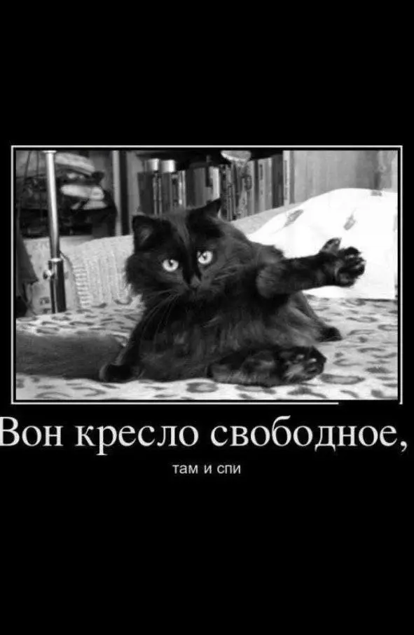 Кто узнал своего кота? 😂😂😂
От любимого клиента Вали ❤️
#Юмор@poldner #Коты@poldner | Сетка — социальная сеть от hh.ru