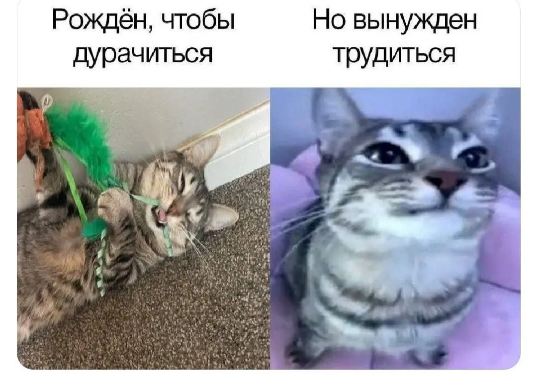 3 выходных как 1 миг, и снова "понедельник" | Сетка — социальная сеть от hh.ru