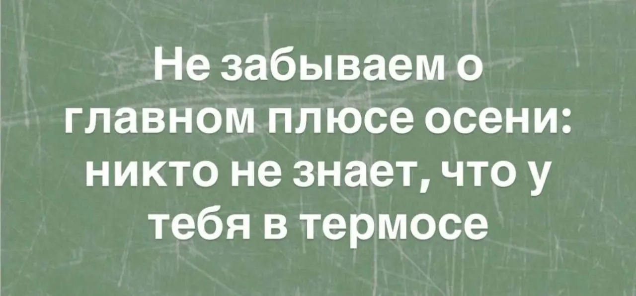 Одно из главных преимуществ 😂
#Юмор@poldner | Сетка — социальная сеть от hh.ru