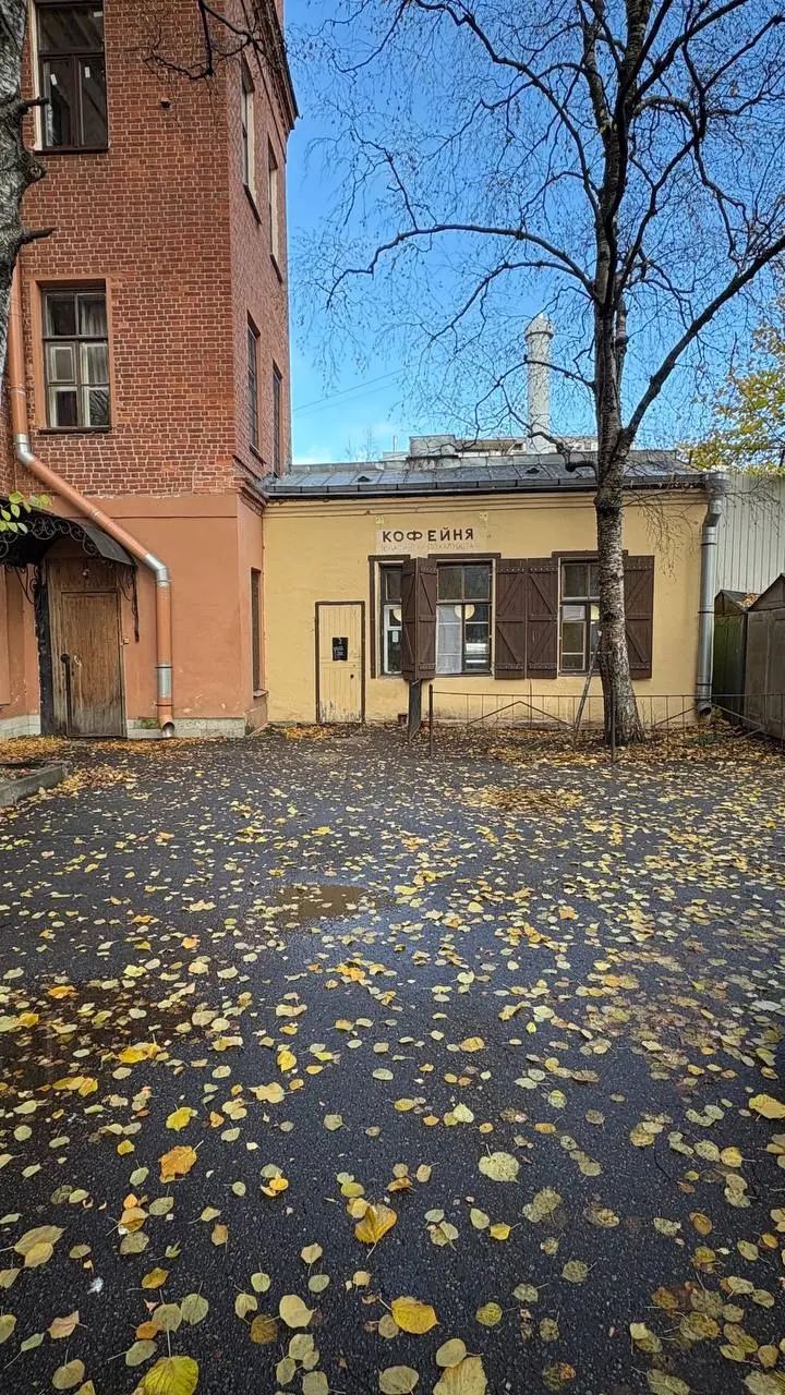 Когда требуется освоить что-то новое, лучше всего помогает наставник, ментор, консультант | Сетка — социальная сеть от hh.ru