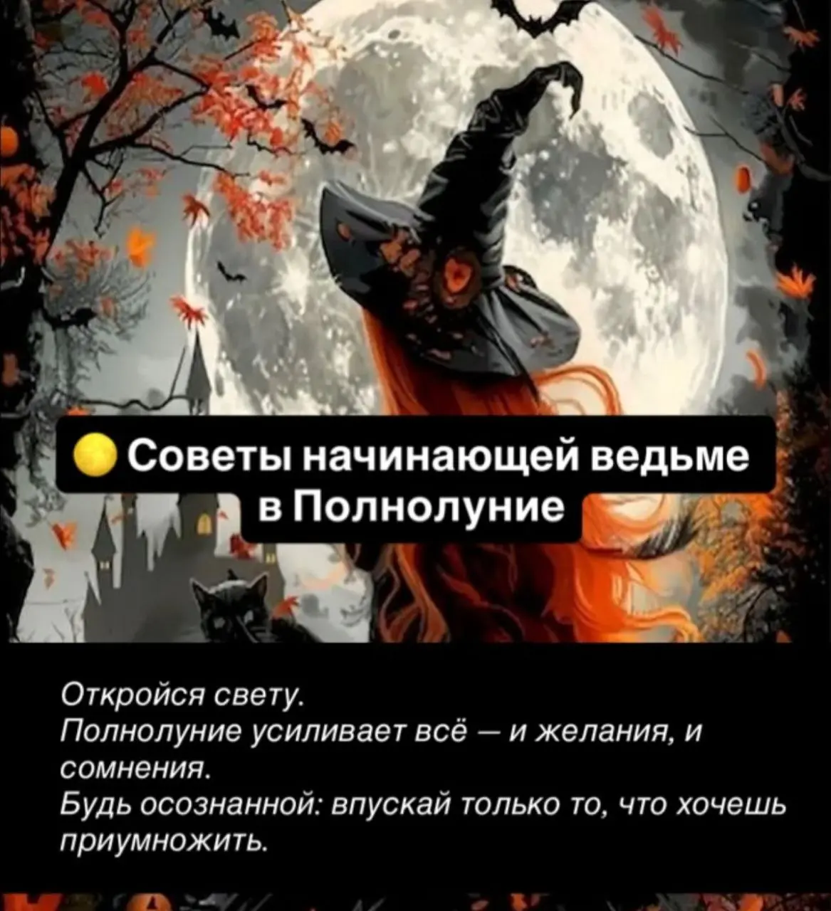 Советы на новолуние | Сетка — социальная сеть от hh.ru