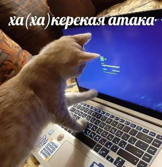 😴 Ну что, как чувствуете себя после выходных?
Мы вот вроде и отдохнул, выдохнули, выспались, но работать… ну, скажем честно, чуть не хочется 🙃
Чтобы входить в рабочий режим было веселее, принесли вам ... | Сетка — социальная сеть от hh.ru
