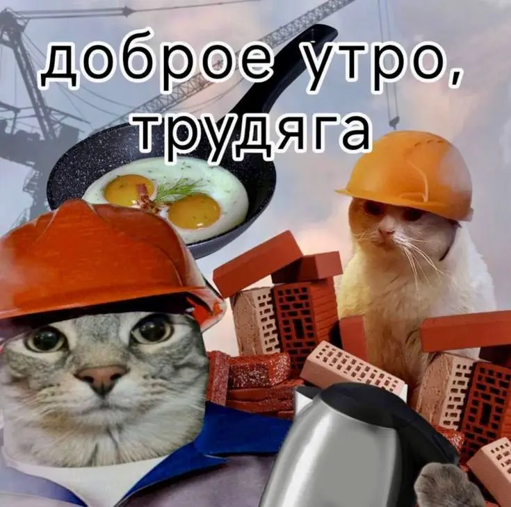 😴 Ну что, как чувствуете себя после выходных?
Мы вот вроде и отдохнул, выдохнули, выспались, но работать… ну, скажем честно, чуть не хочется 🙃
Чтобы входить в рабочий режим было веселее, принесли вам ... | Сетка — социальная сеть от hh.ru