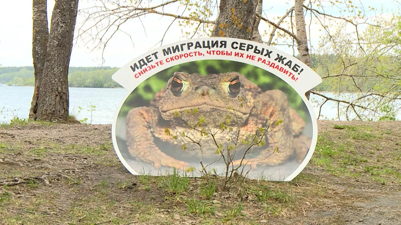 Если вы мои чюваки, то со средой вас! ✌️
Среда, которая ощущается как понедельник, но при этом выходные уже совсем скоро, что делает этот день чуть лучше | Сетка — социальная сеть от hh.ru