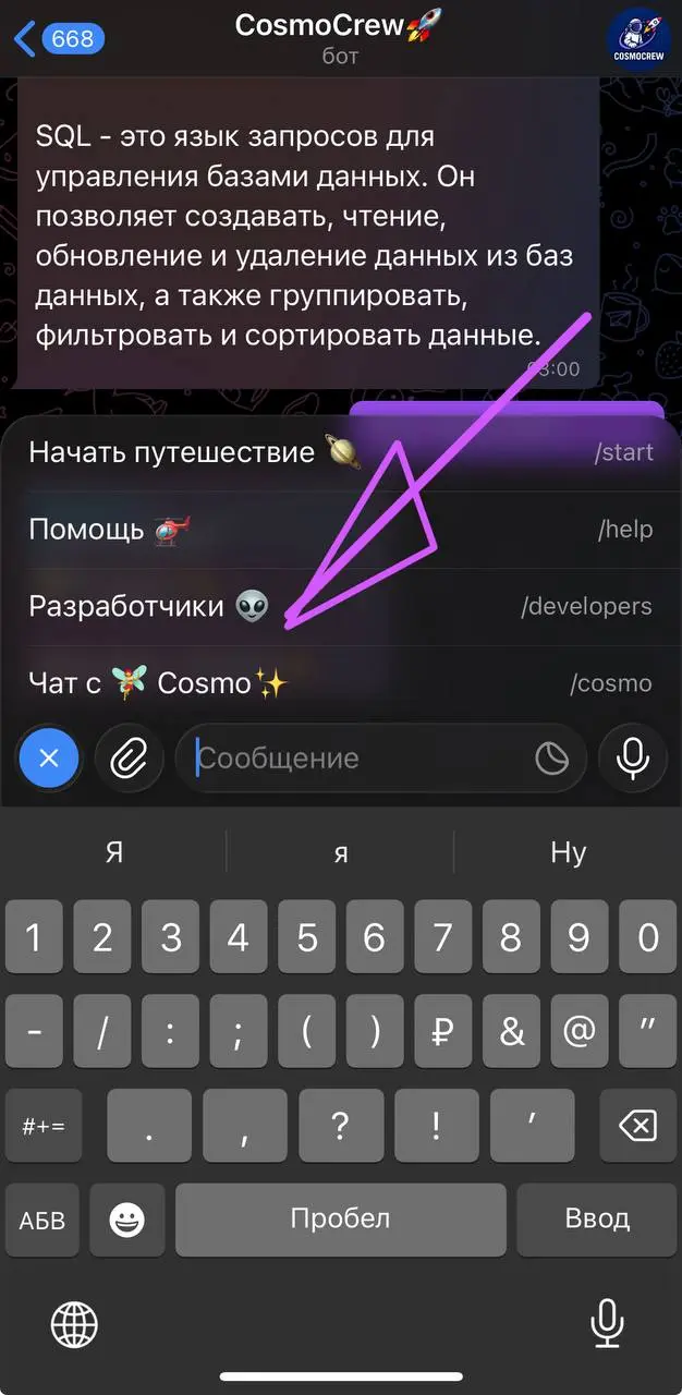 Эпизод 1: "ПРИВЕТ, ПИЛОТ!”
ОТ /START ДО ОРБИТЫ
COSMO✨
Энакомьтесь, это Cosmo✨ - инструктор по космическому программированию | Сетка — социальная сеть от hh.ru