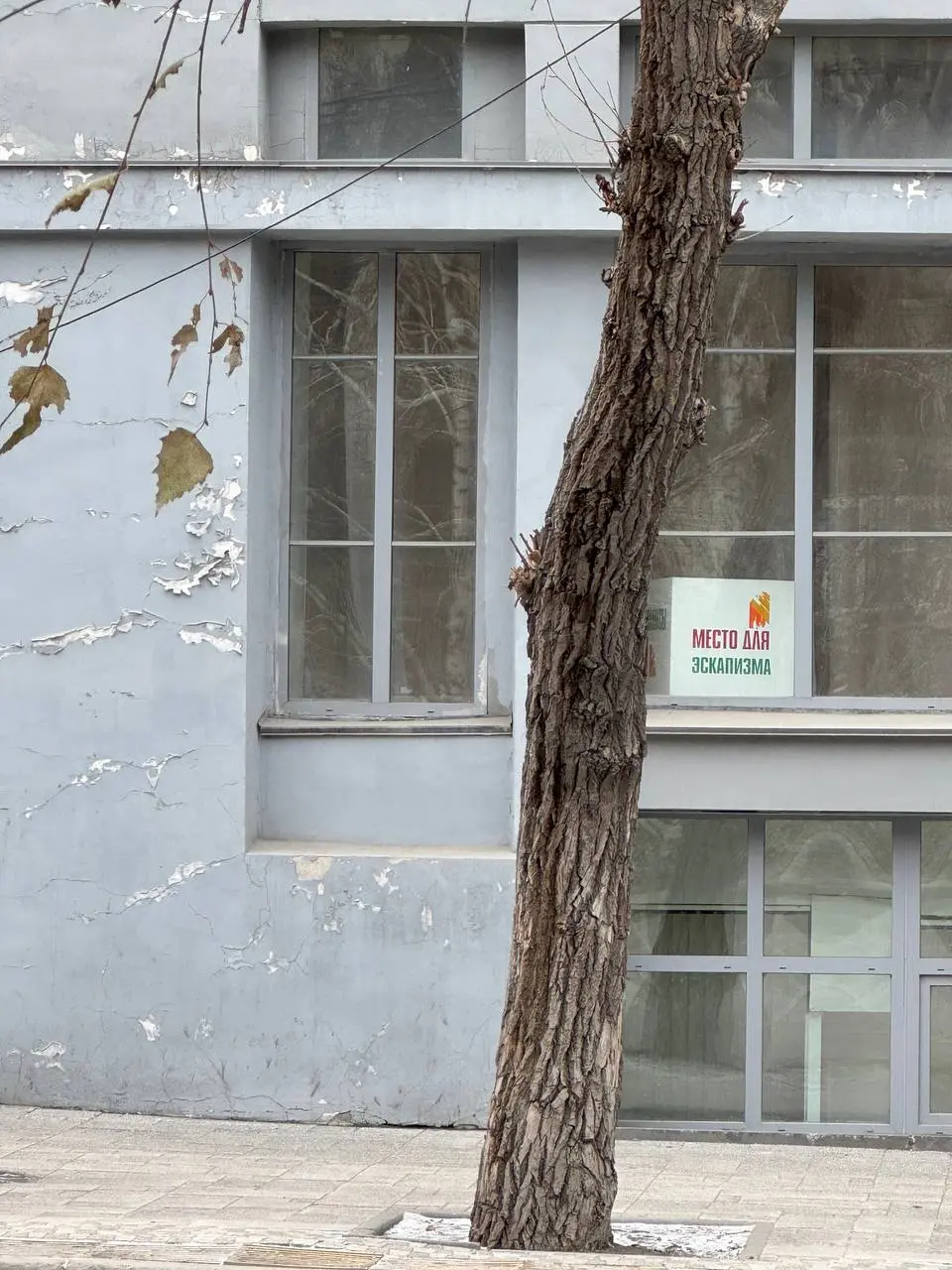 Чуть-чуть Новосибирска вам в ленту этим утром 🙃 | Сетка — социальная сеть от hh.ru