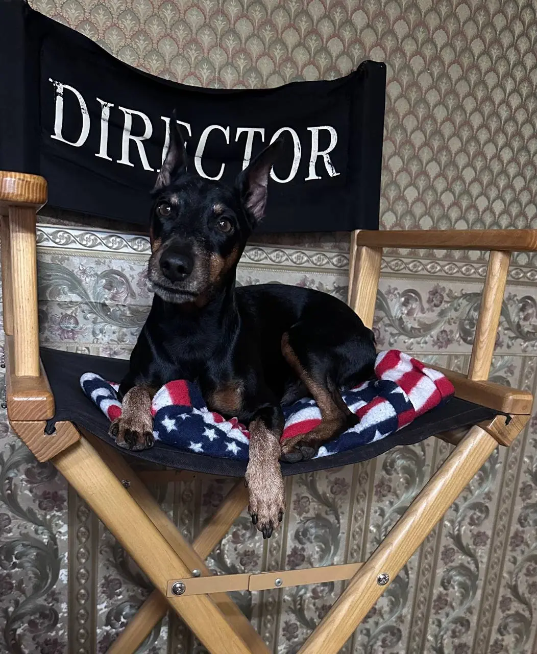 Питомцев больше 
По моим ощущениям, ну так скажем, в моём кругу, домашних животных уже больше, чем детей.
Если посчитать чисто математически, баланс явно не в пользу последних | Сетка — социальная сеть от hh.ru