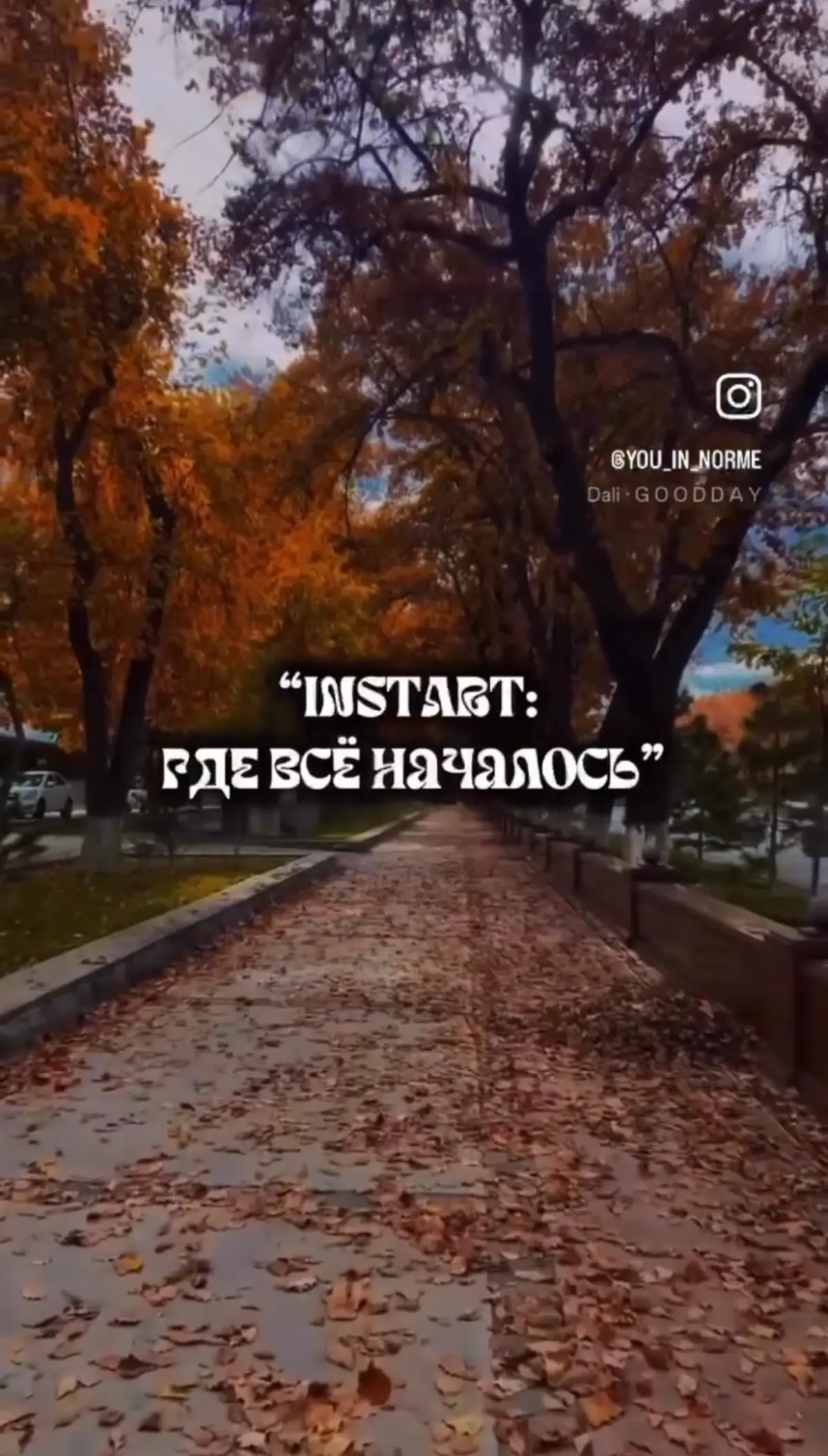 “INSTART: где всё началось”
Когда я впервые зашла в онлайн-школу INSTART, я просто хотела “научиться зарабатывать из дома”.
Без пафоса, без миссии, без “мечты изменить мир” | Сетка — социальная сеть от hh.ru