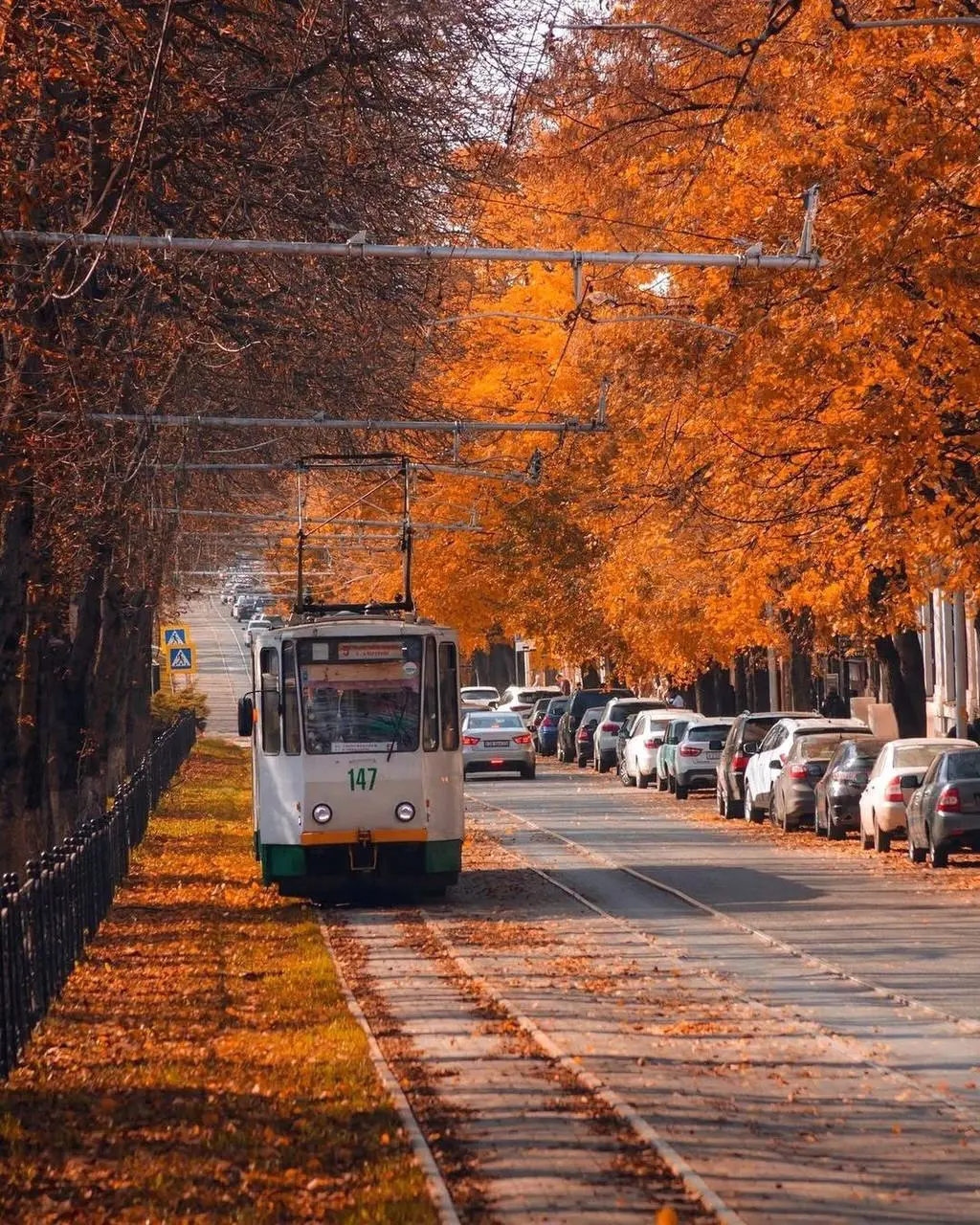 Осень на КМВ как отдельный вид искусства 🍁 | Сетка — социальная сеть от hh.ru