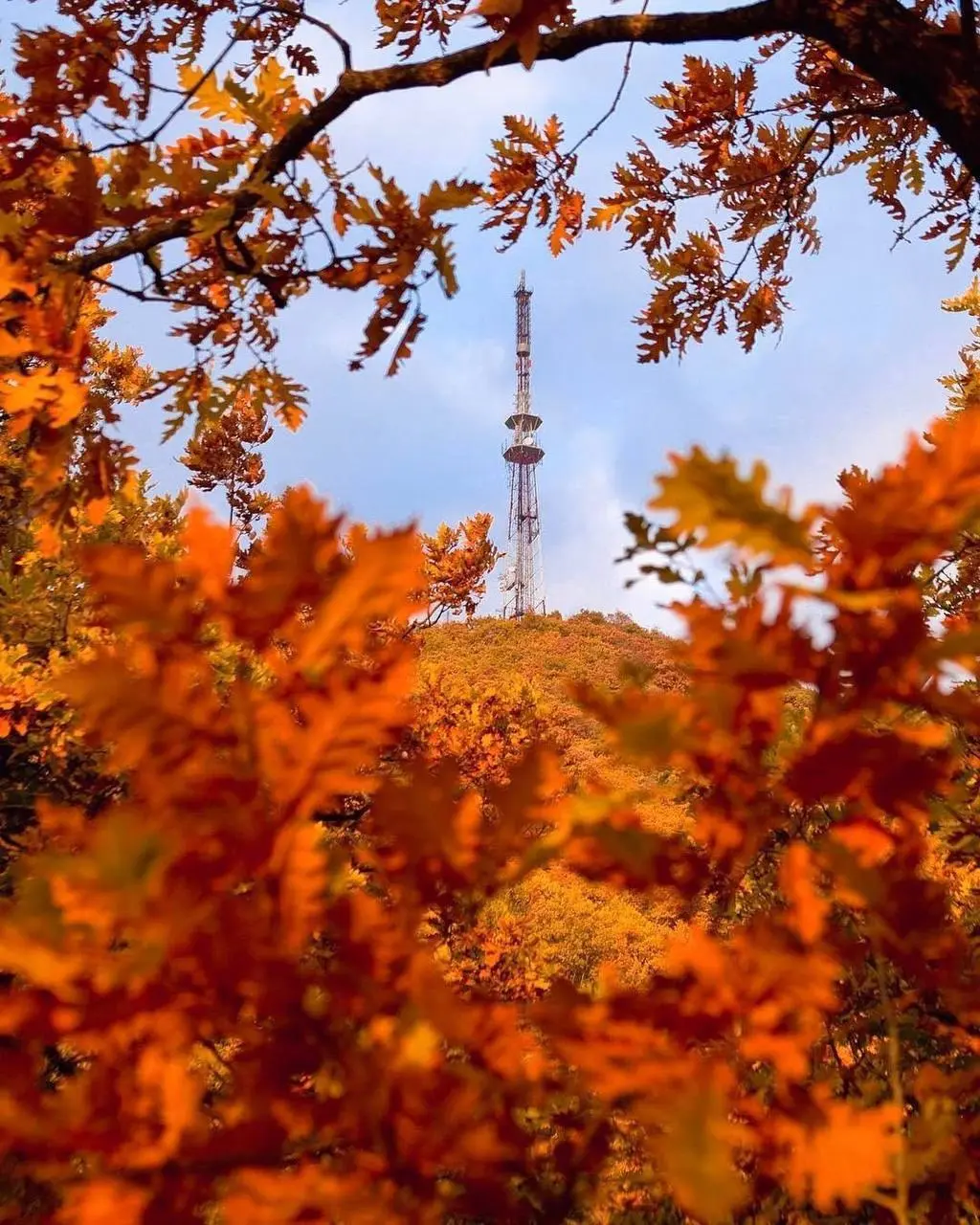 Осень на КМВ как отдельный вид искусства 🍁 | Сетка — социальная сеть от hh.ru