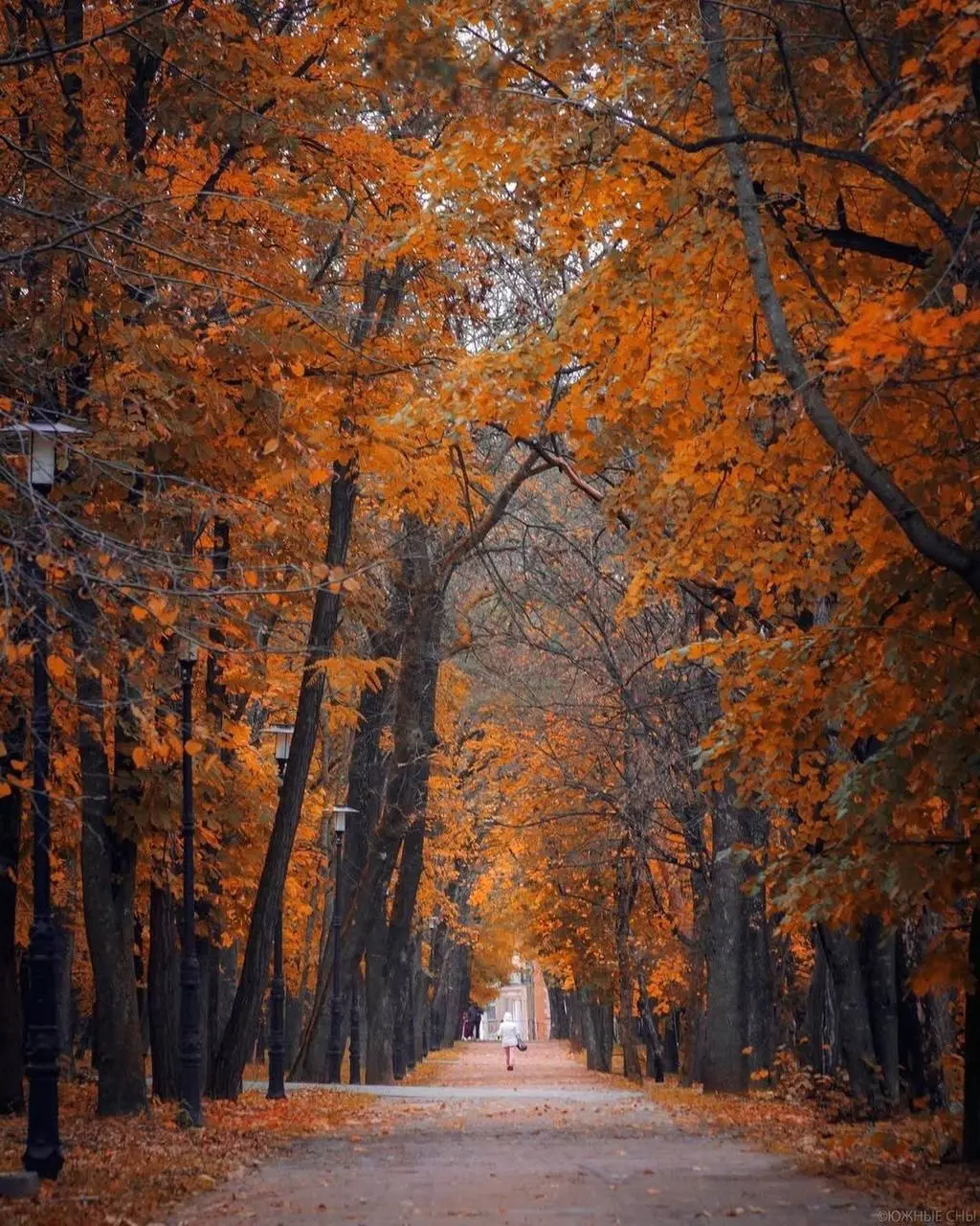 Осень на КМВ как отдельный вид искусства 🍁 | Сетка — социальная сеть от hh.ru