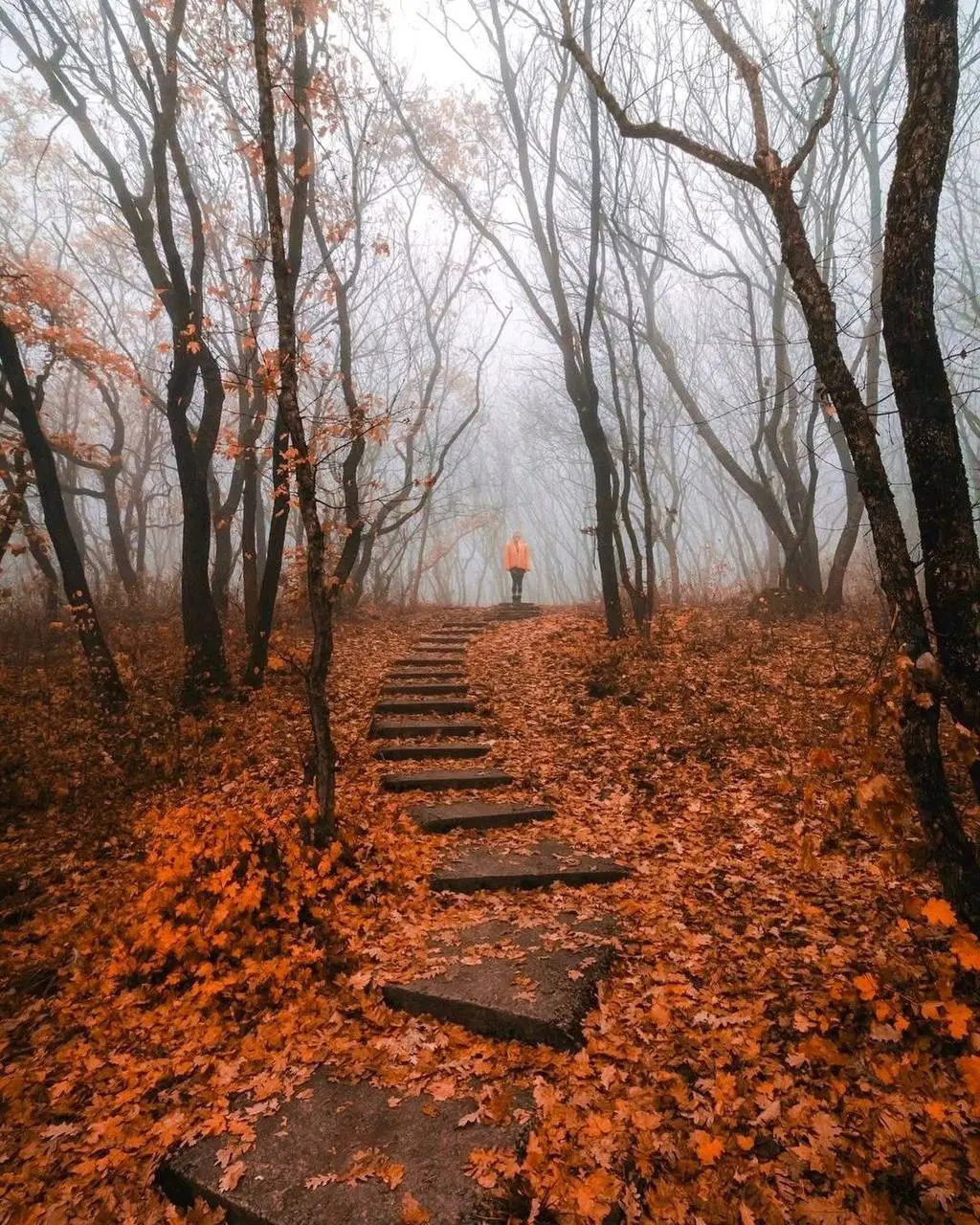 Осень на КМВ как отдельный вид искусства 🍁 | Сетка — социальная сеть от hh.ru