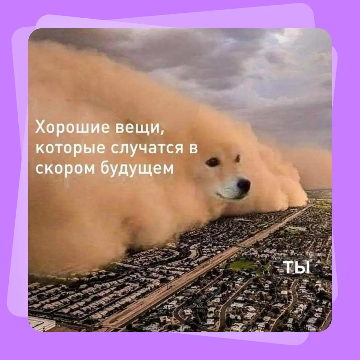 Это твой знак — все будет хорошо 🤍 | Сетка — социальная сеть от hh.ru