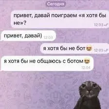 Как изменились банковские чат-боты за последний год? Какие решения работают, а где по-прежнему боль?
Markswebb выпустили новое исследование — «Комплексная оценка банковских чат-ботов» | Сетка — социальная сеть от hh.ru