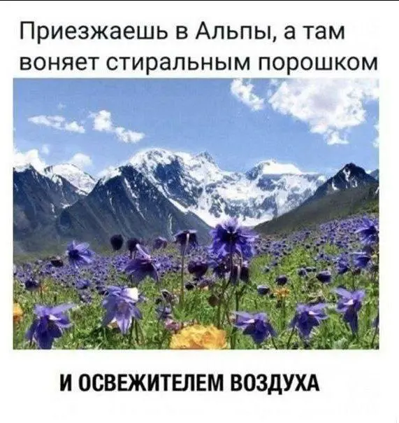 И так - куда ни приедешь! | Сетка — социальная сеть от hh.ru