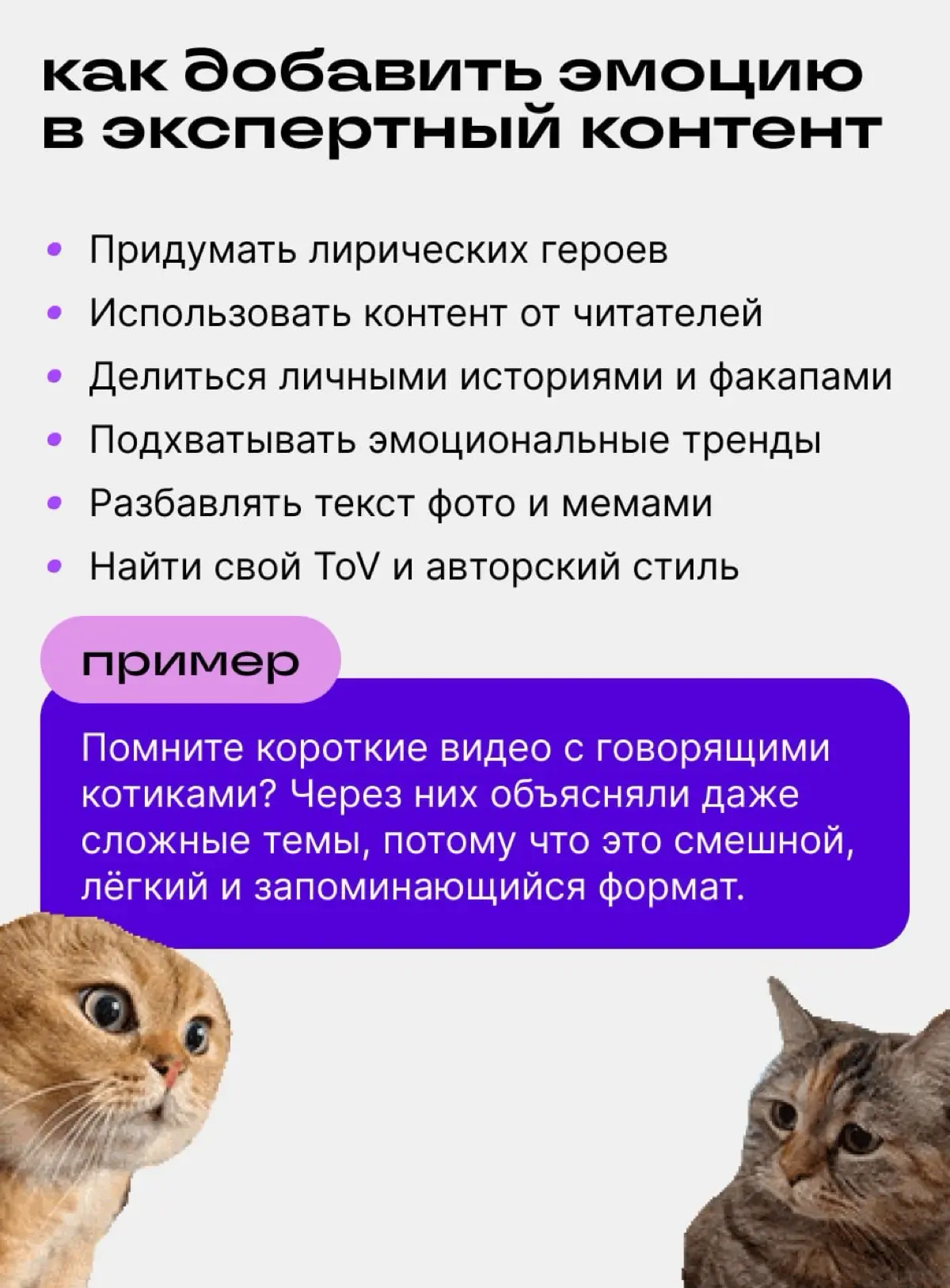 Практика для авторов: тренд на эмоциональный контент | Сетка — социальная сеть от hh.ru