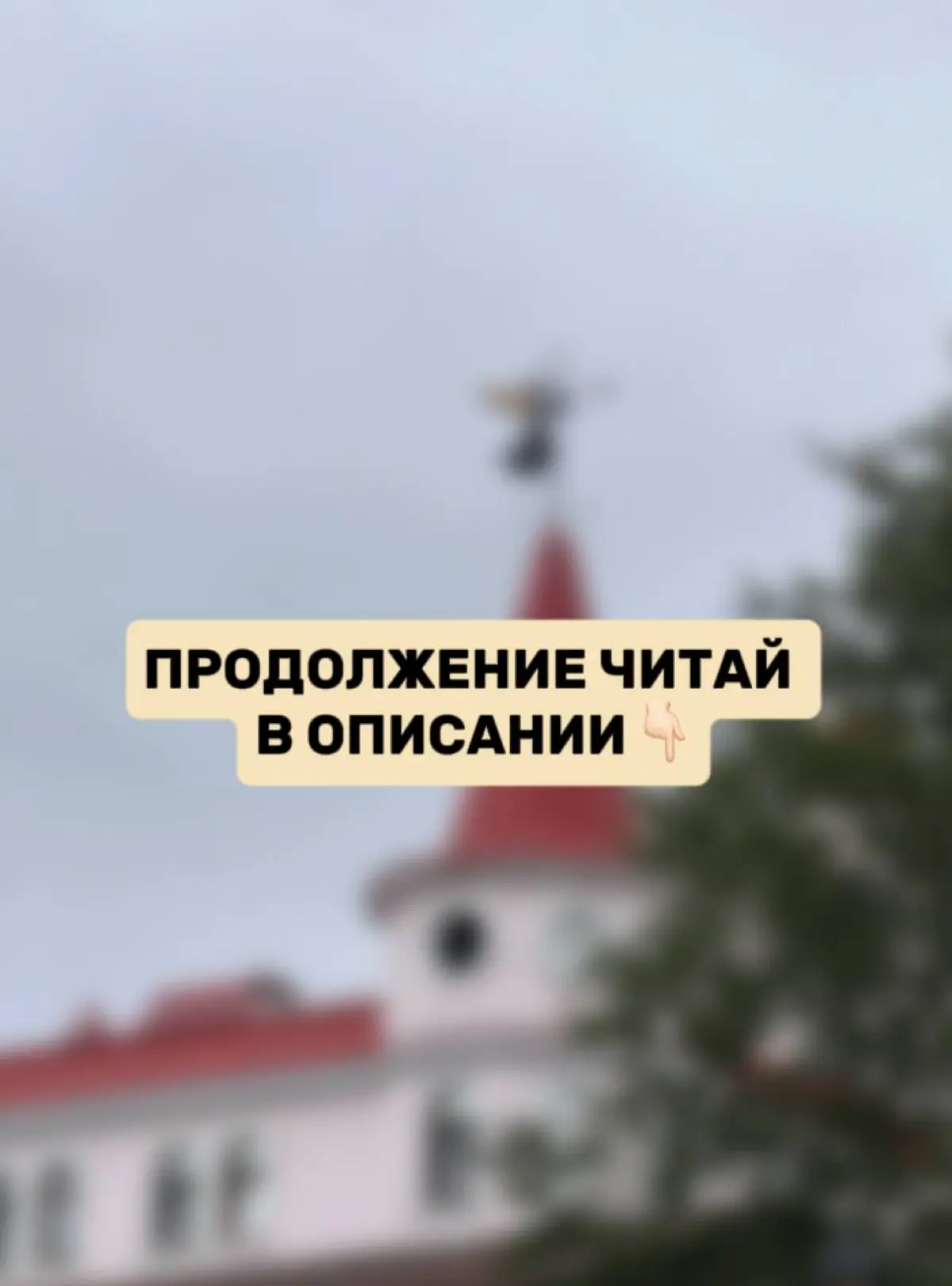 МОРОЖЕНОЕ ИЛИ СТАКАНЧИКИ: в чем секрет успеха? | Сетка — социальная сеть от hh.ru