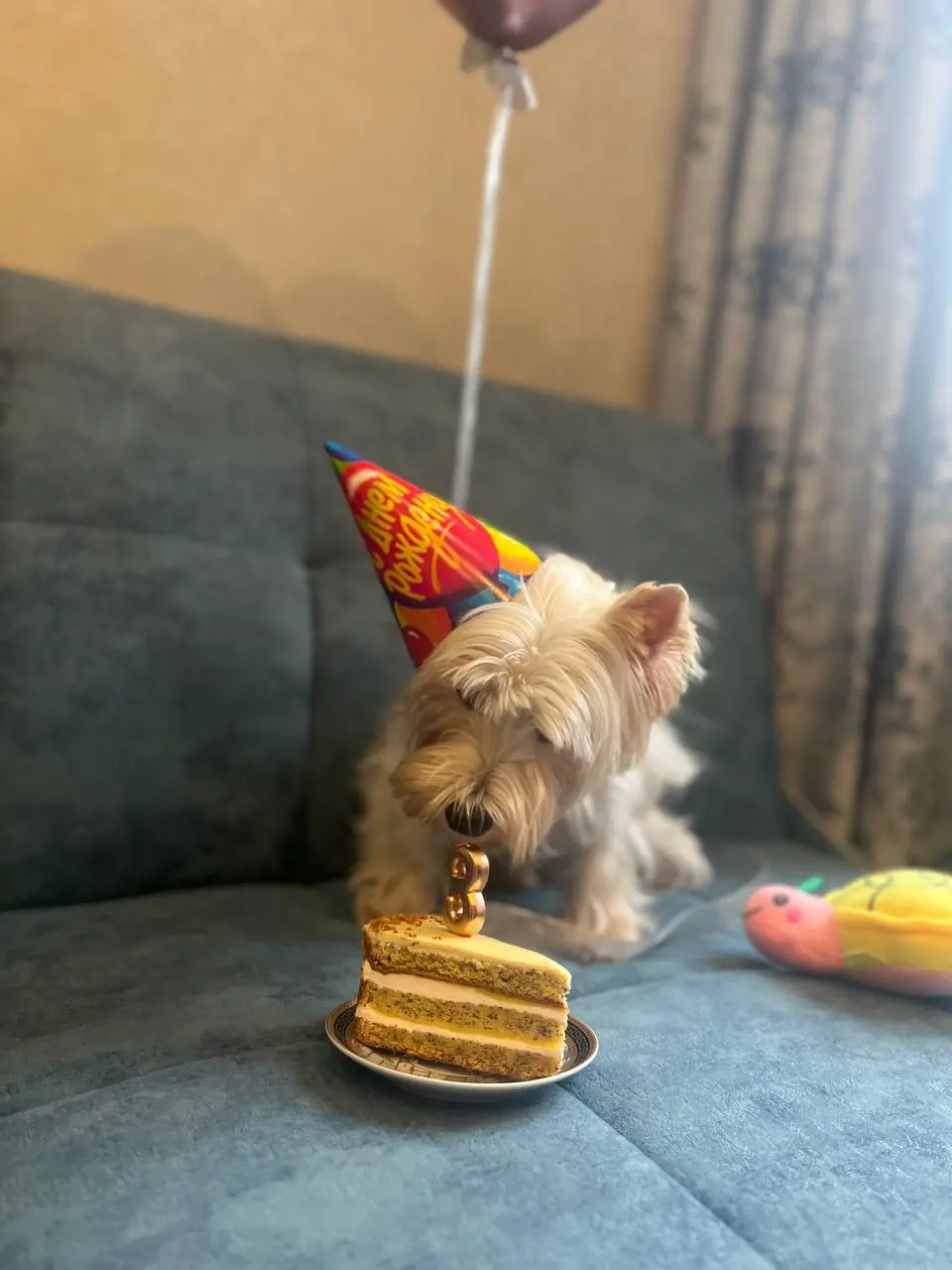 Идеальный день счастья: когда твой хвостик рядом 🐶
Нам, людям трудно даётся счастье | Сетка — социальная сеть от hh.ru