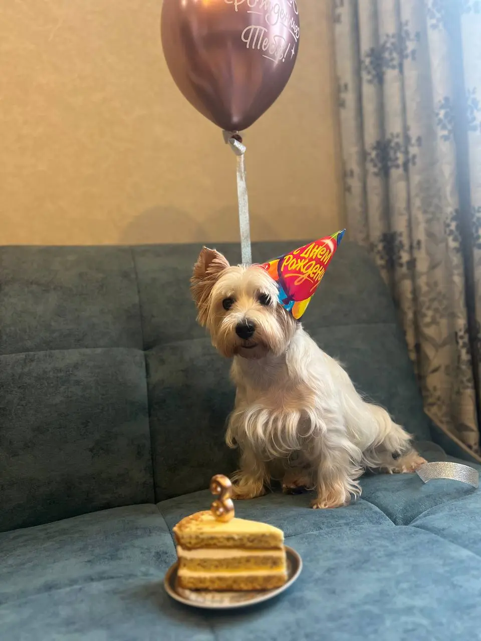 Идеальный день счастья: когда твой хвостик рядом 🐶
Нам, людям трудно даётся счастье | Сетка — социальная сеть от hh.ru