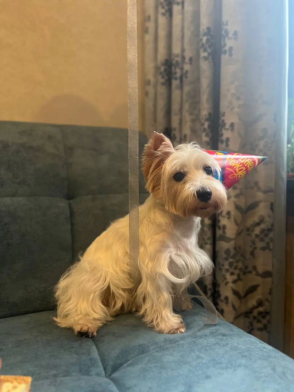 Идеальный день счастья: когда твой хвостик рядом 🐶
Нам, людям трудно даётся счастье | Сетка — социальная сеть от hh.ru