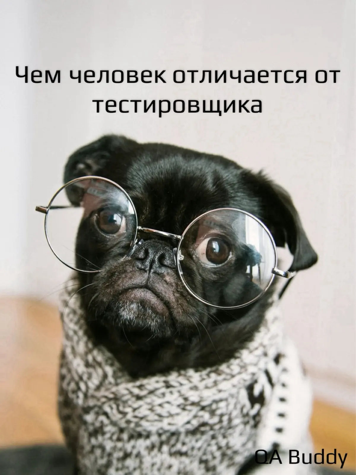 👀Чем человек отличается от тестировщика | Сетка — социальная сеть от hh.ru