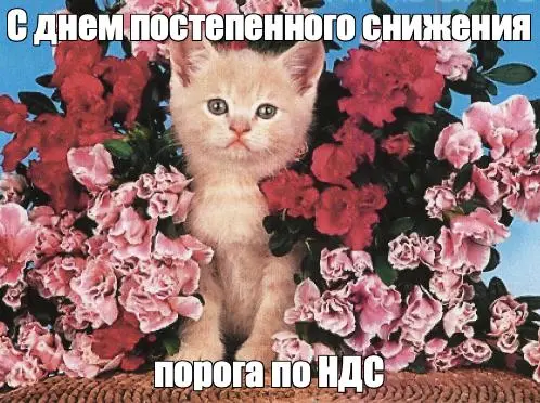 Новость дня! (да что уж там, недели и, наверное, месяца) - перевернулась фура со смягчением поправок в НК!
Кабмин предлагает сделать порог уплаты НДС поэтапным | Сетка — социальная сеть от hh.ru