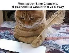 Писать или не писать? Сопроводительное письмо как тест на | Сетка — социальная сеть от hh.ru